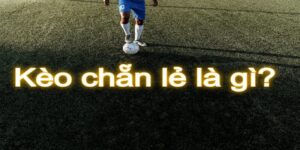 Kèo chẵn lẻ